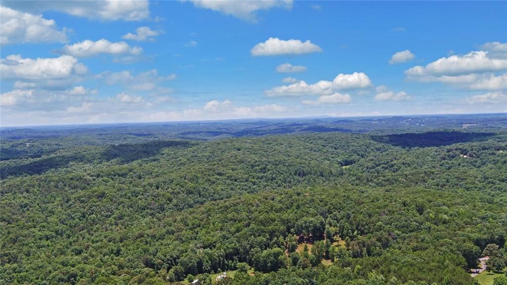 368 Stancil Dyer Road Dahlonega, GA 30533 - Photo 78 of 80