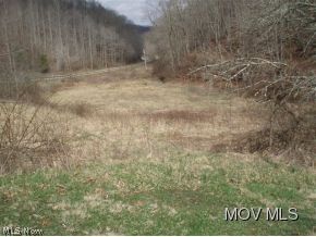 54 Rt 16 Smithville, WV 26178 - Photo 4 of 6