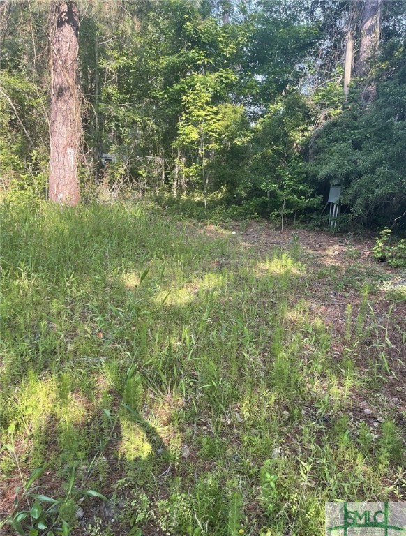 315 Beebe Road Springfield, GA 31329 - Photo 2 of 5