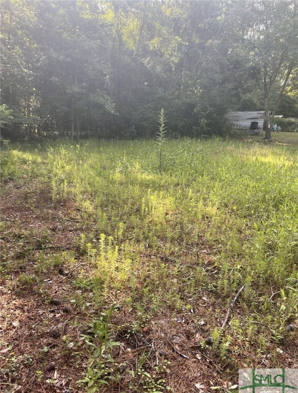 315 Beebe Road Springfield, GA 31329 - Photo 3 of 5