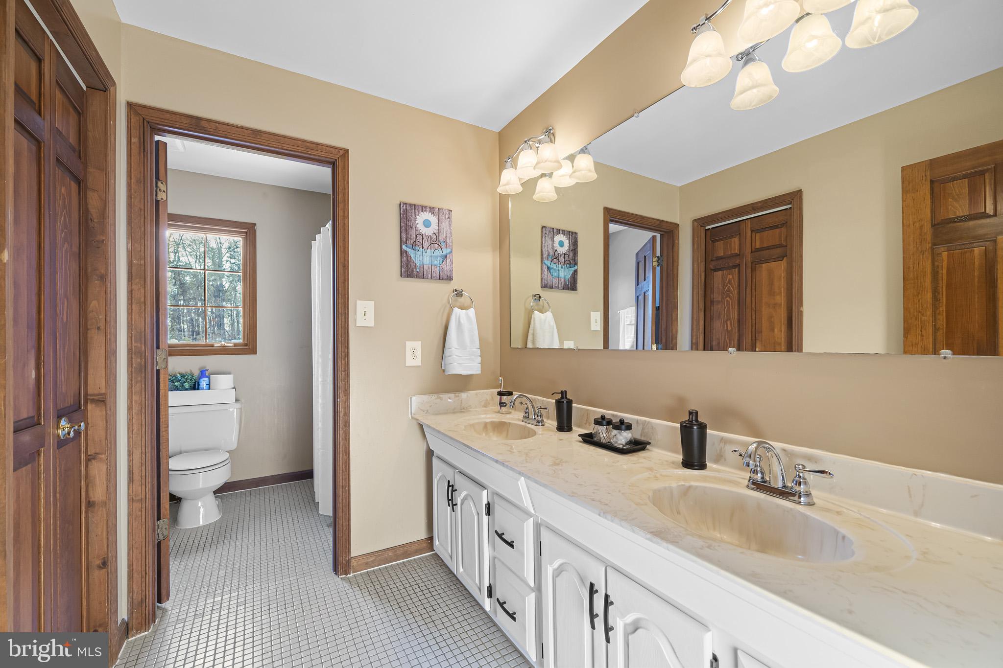 7365 Simms Landing Road Port Tobacco, MD 20677 - Photo 35 of 53 Hallway bath w/ double sinks