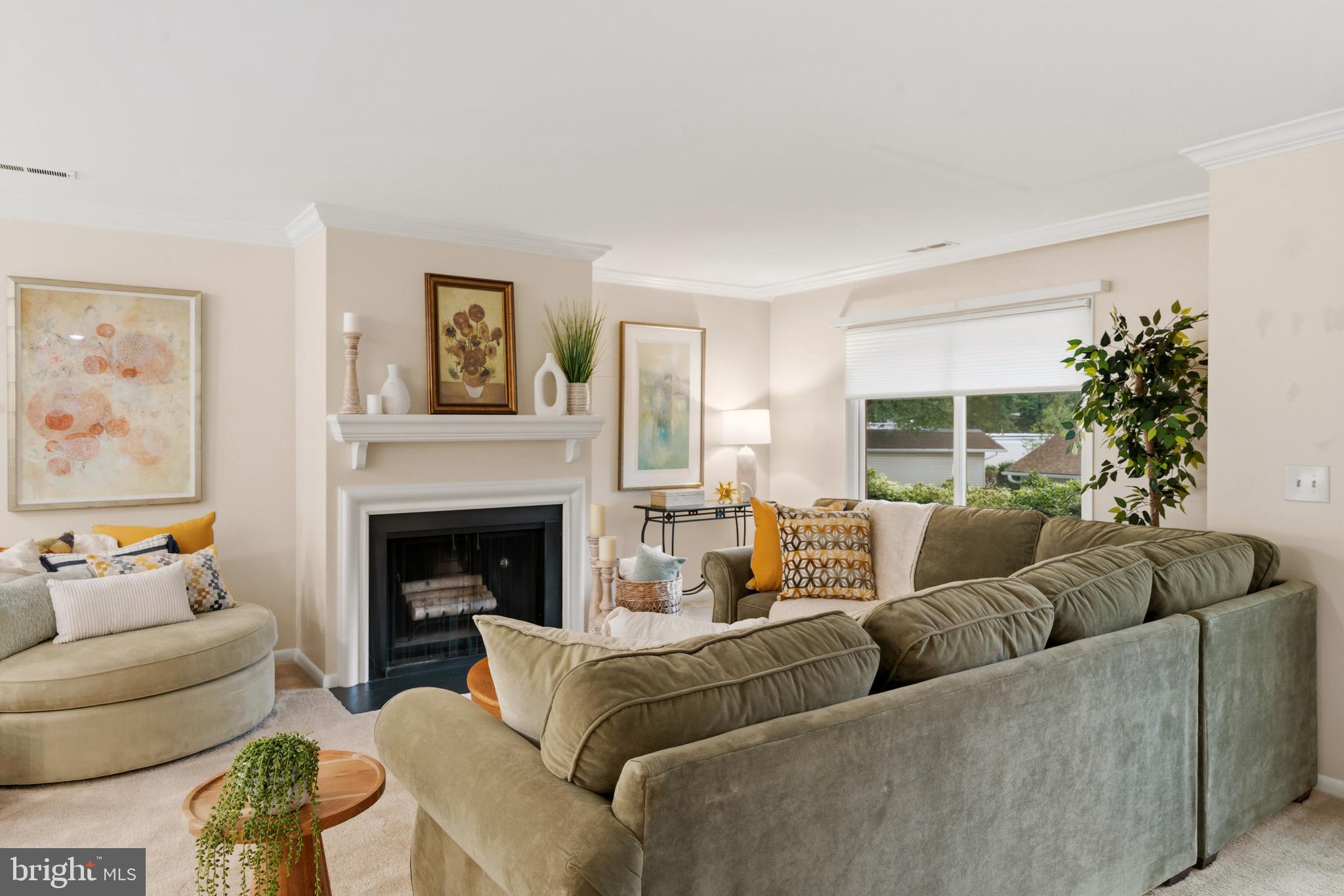 14601 Deerhurst Terrace Silver Spring, MD 20906 - Photo 14 of 51 a living room with furniture and a fireplace