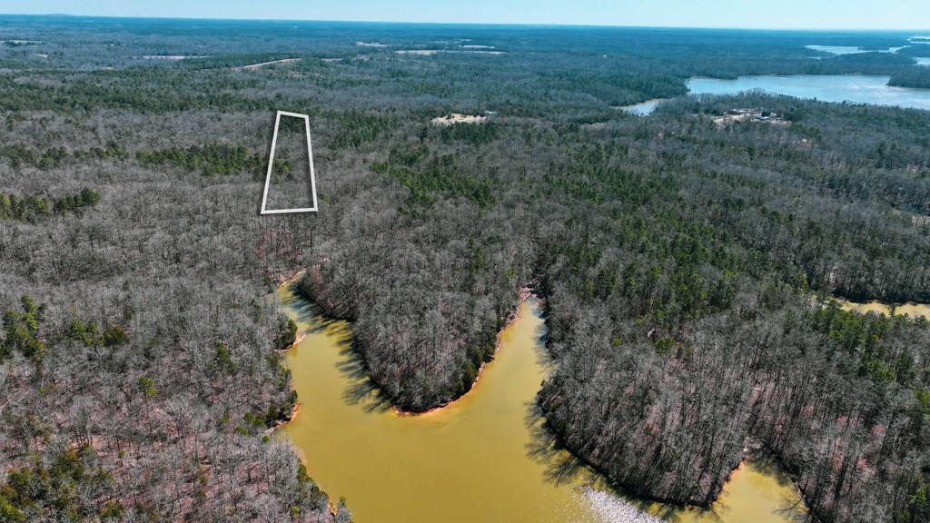 0 Tom Young Bridge Road Iva, SC 29655 - Photo 1 of 9 Main View