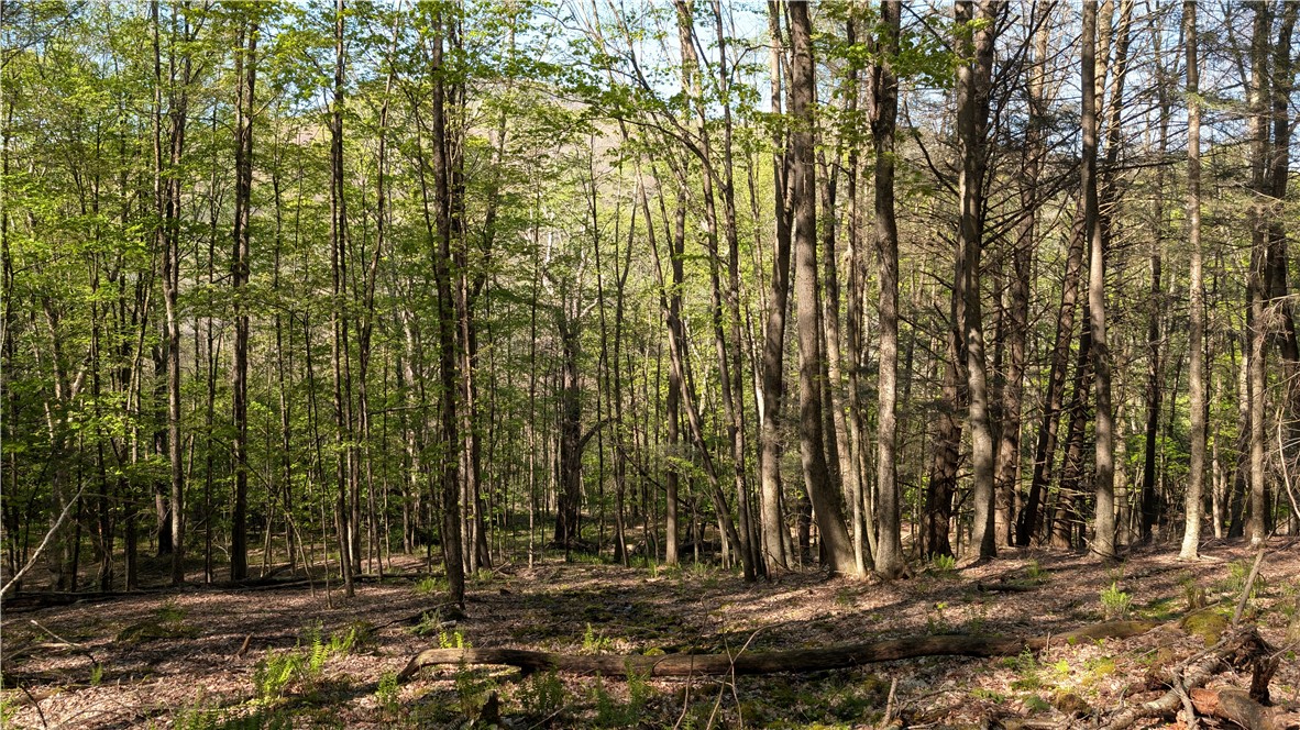 Lot 5 East River Road Andes, NY 13731 - Photo 33 of 39