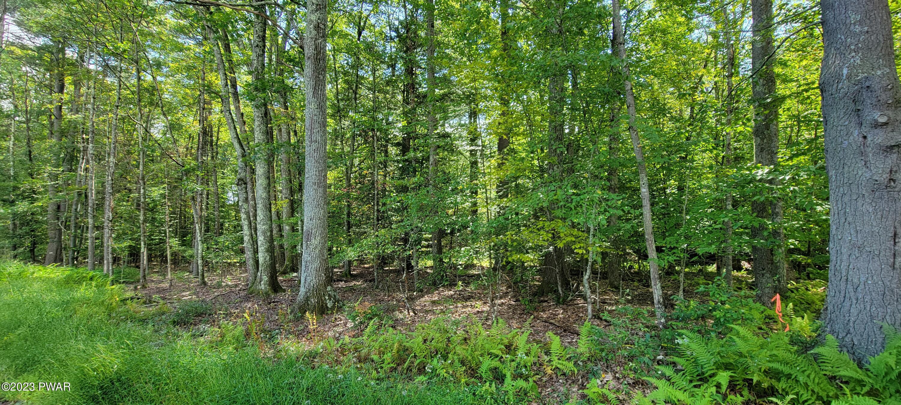 Lot #21 Mohn Road Narrowsburg, NY 12764 - Photo 1 of 9