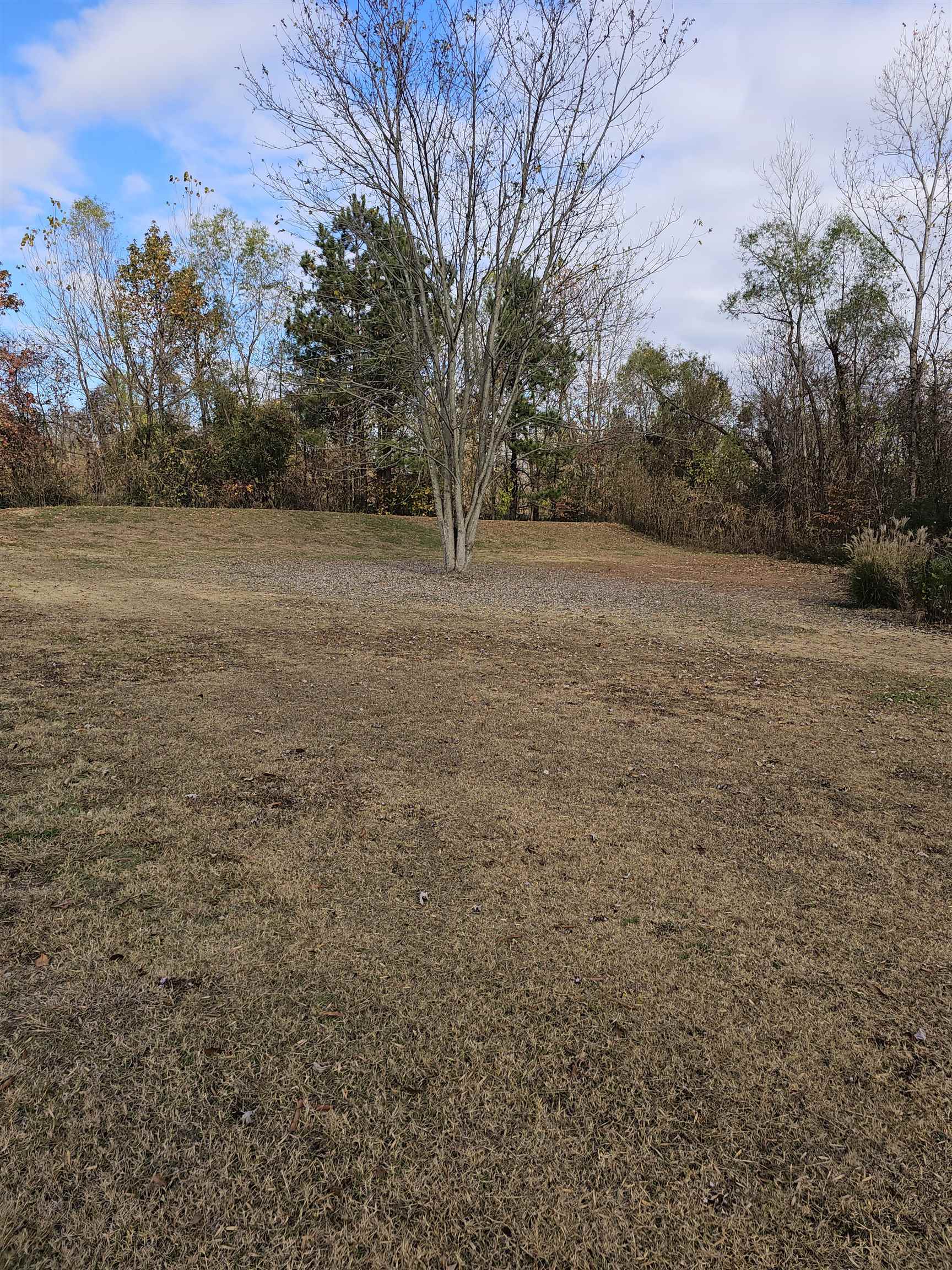 2449 Simmons Road Millington, TN 38053 - Photo 23 of 28 Gallery Image 23