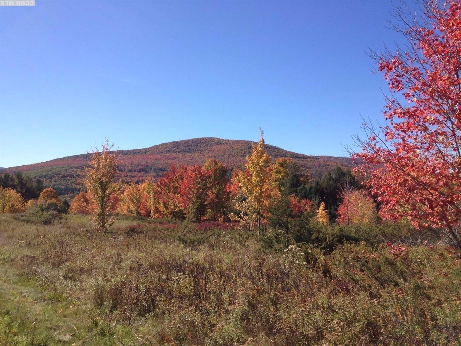 4 Anchor Cp Road Windham, NY 12496 - Photo 4 of 10 Photo 4