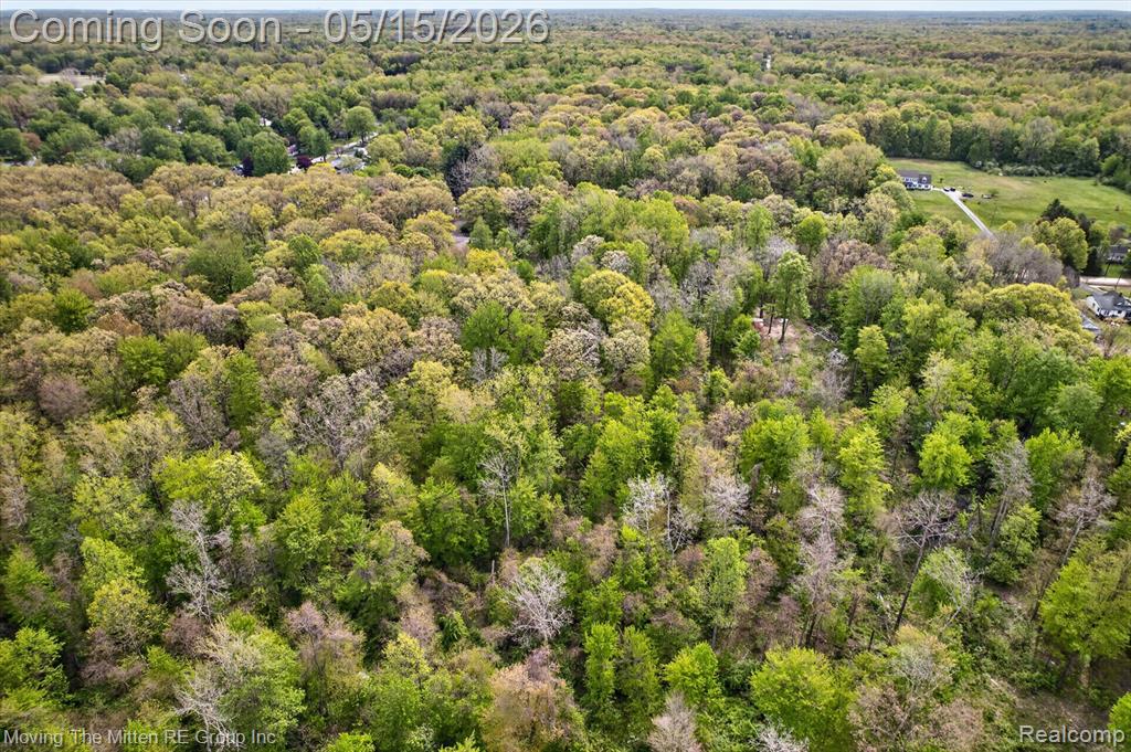 22530 Bohn Road Belleville, MI 48111 - Photo 11 of 28