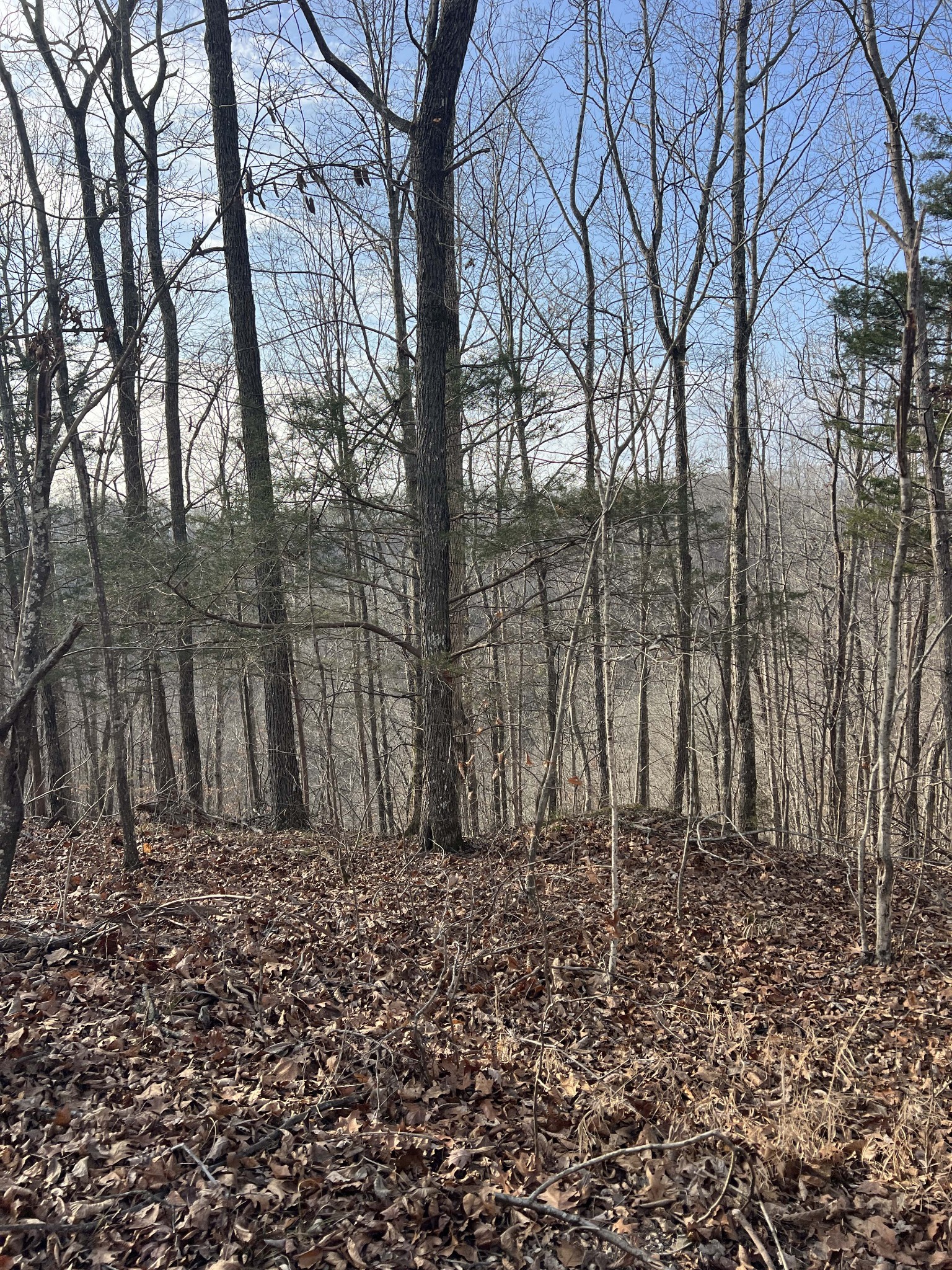 0 Colepin Ridge Road Celina, TN 38551 - Photo 2 of 8