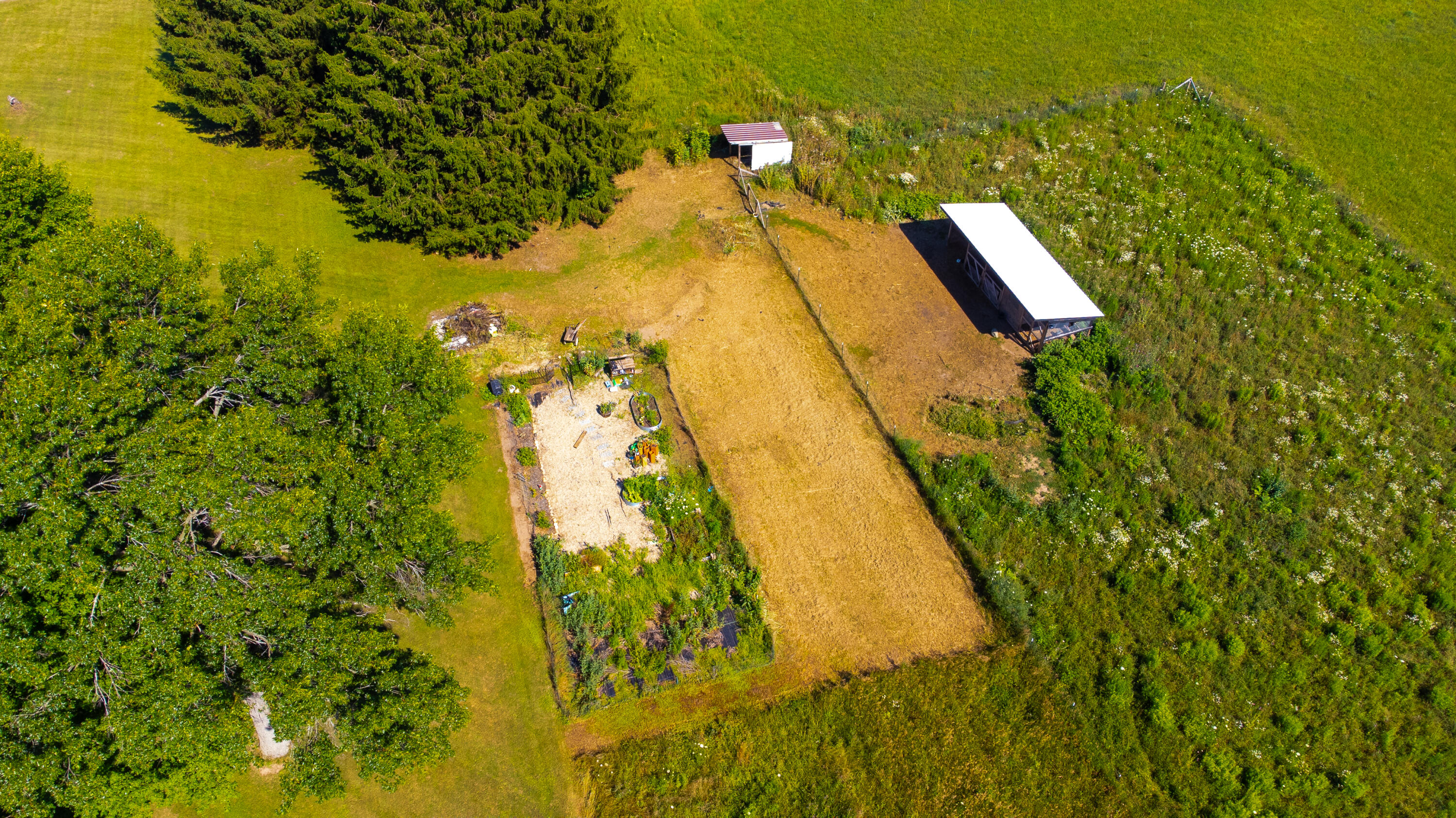 6845 Cochran Road Horton, MI 49246 - Photo 65 of 75 DJI_0009