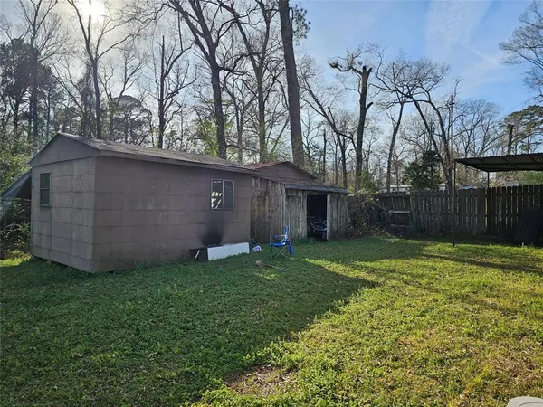 a view of a backyard with plants and large tree