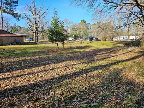 a view of a yard with a large trees
