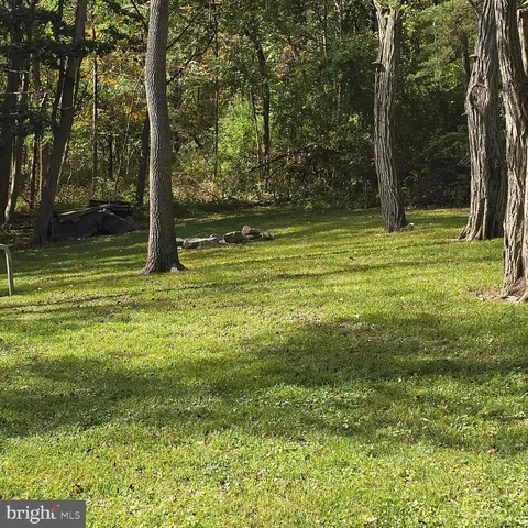 a view of a trees with a yard