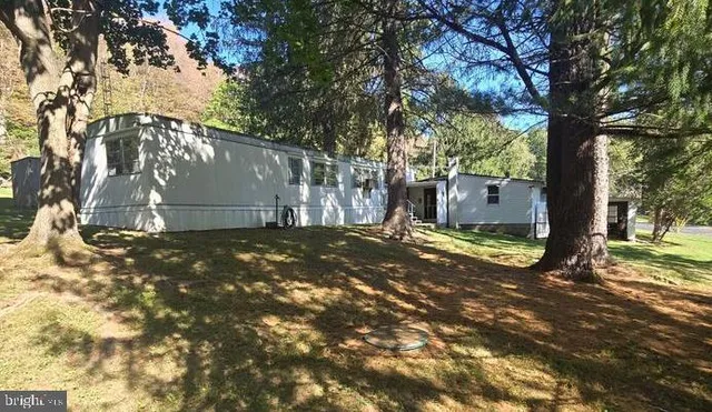 a backyard of a house with lots of tree