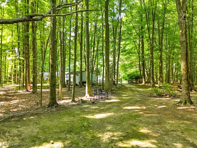 8648 Taylor May Road Chagrin Falls, OH 44023 - Photo 29 of 37 View of landscape