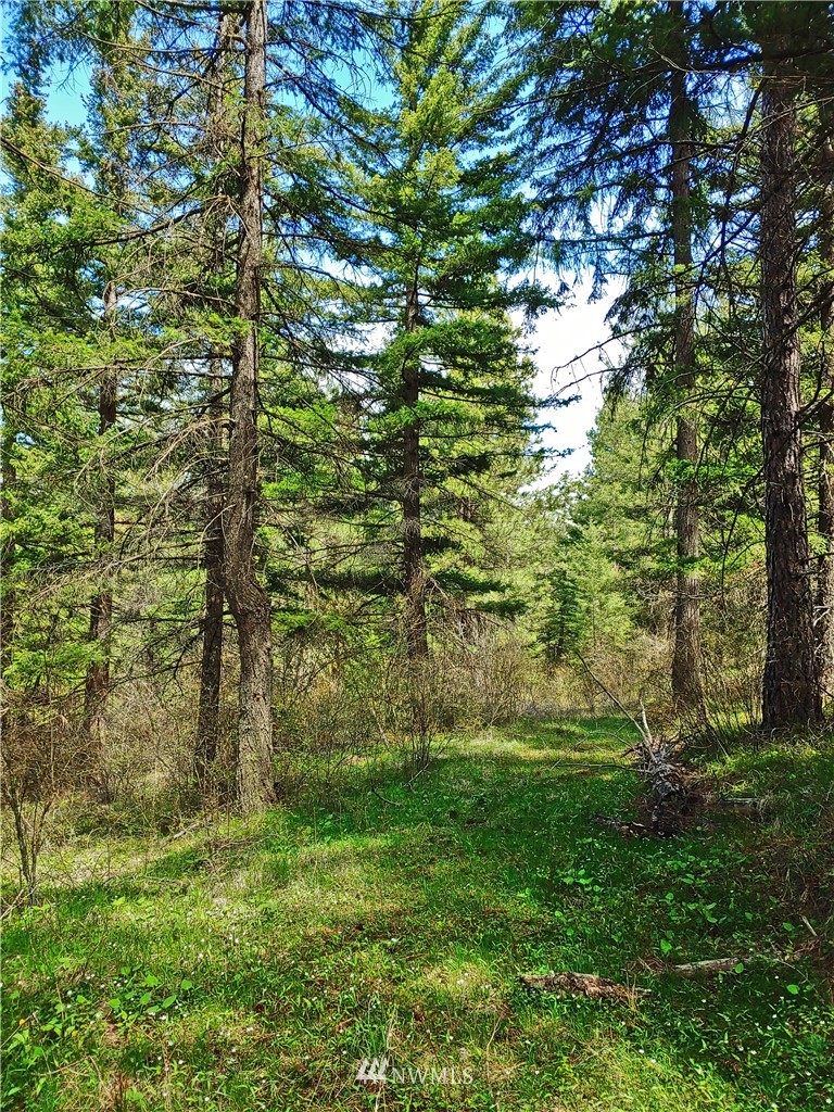9900 Thorp Prairie Road Cle Elum, WA 98922 - Photo 2 of 23 Gallery Image 2