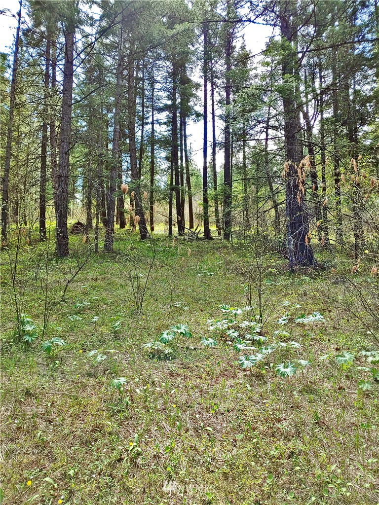 9900 Thorp Prairie Road Cle Elum, WA 98922 - Photo 11 of 23 Gallery Image 11