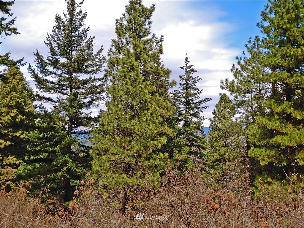 9900 Thorp Prairie Road Cle Elum, WA 98922 - Photo 12 of 23 Gallery Image 12