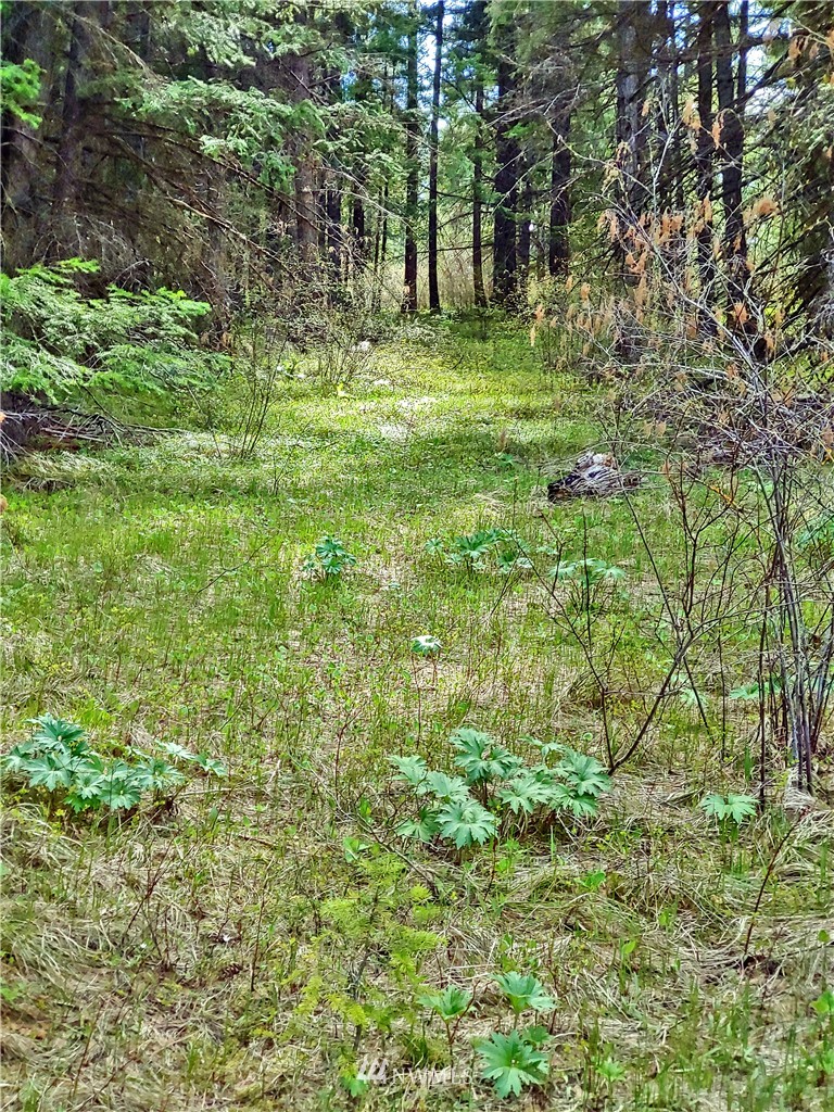 9900 Thorp Prairie Road Cle Elum, WA 98922 - Photo 13 of 23 Gallery Image 13