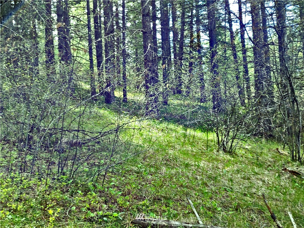 9900 Thorp Prairie Road Cle Elum, WA 98922 - Photo 15 of 23 Gallery Image 15