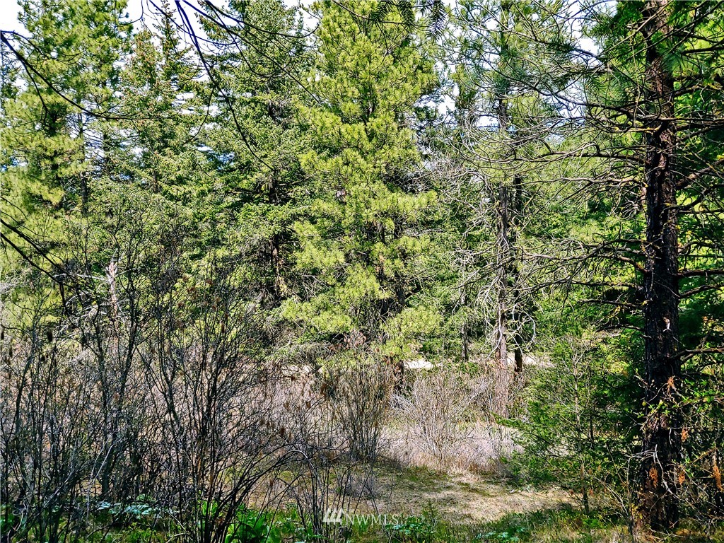9900 Thorp Prairie Road Cle Elum, WA 98922 - Photo 17 of 23 Gallery Image 17