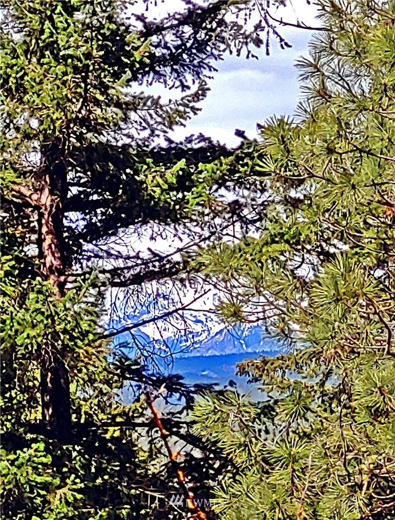 9900 Thorp Prairie Road Cle Elum, WA 98922 - Photo 18 of 23 Gallery Image 18