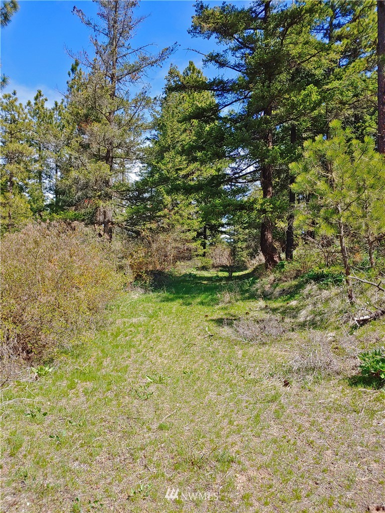 9900 Thorp Prairie Road Cle Elum, WA 98922 - Photo 7 of 23 Gallery Image 7