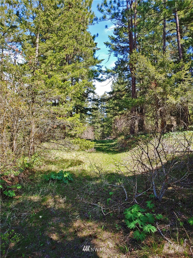 9900 Thorp Prairie Road Cle Elum, WA 98922 - Photo 8 of 23 Gallery Image 8