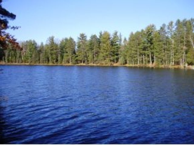 1288 Perch Lake Road Eagle River, WI 54521 - Photo 11 of 11 Gallery Image 11