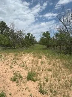 a view of a yard with an trees