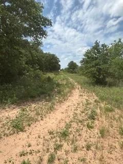 a view of a big yard with lots of bushes