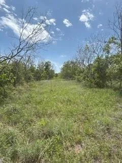 a view of a field with an trees