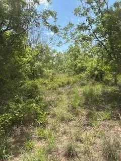 a view of a field of grass and trees