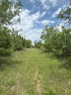a view of a field with an trees