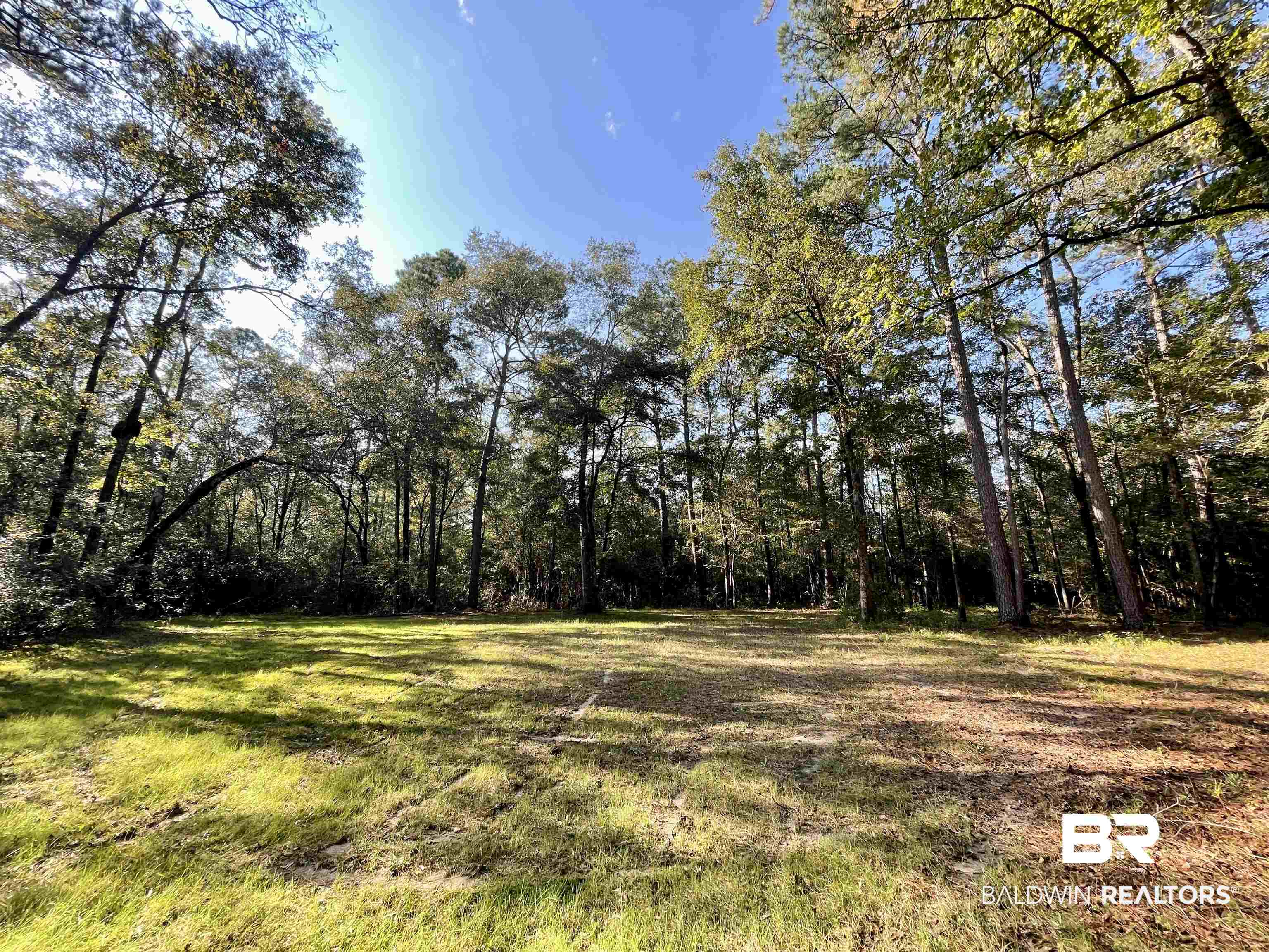 0 Country Road Vinegar Bend, AL 36584 - Photo 2 of 46