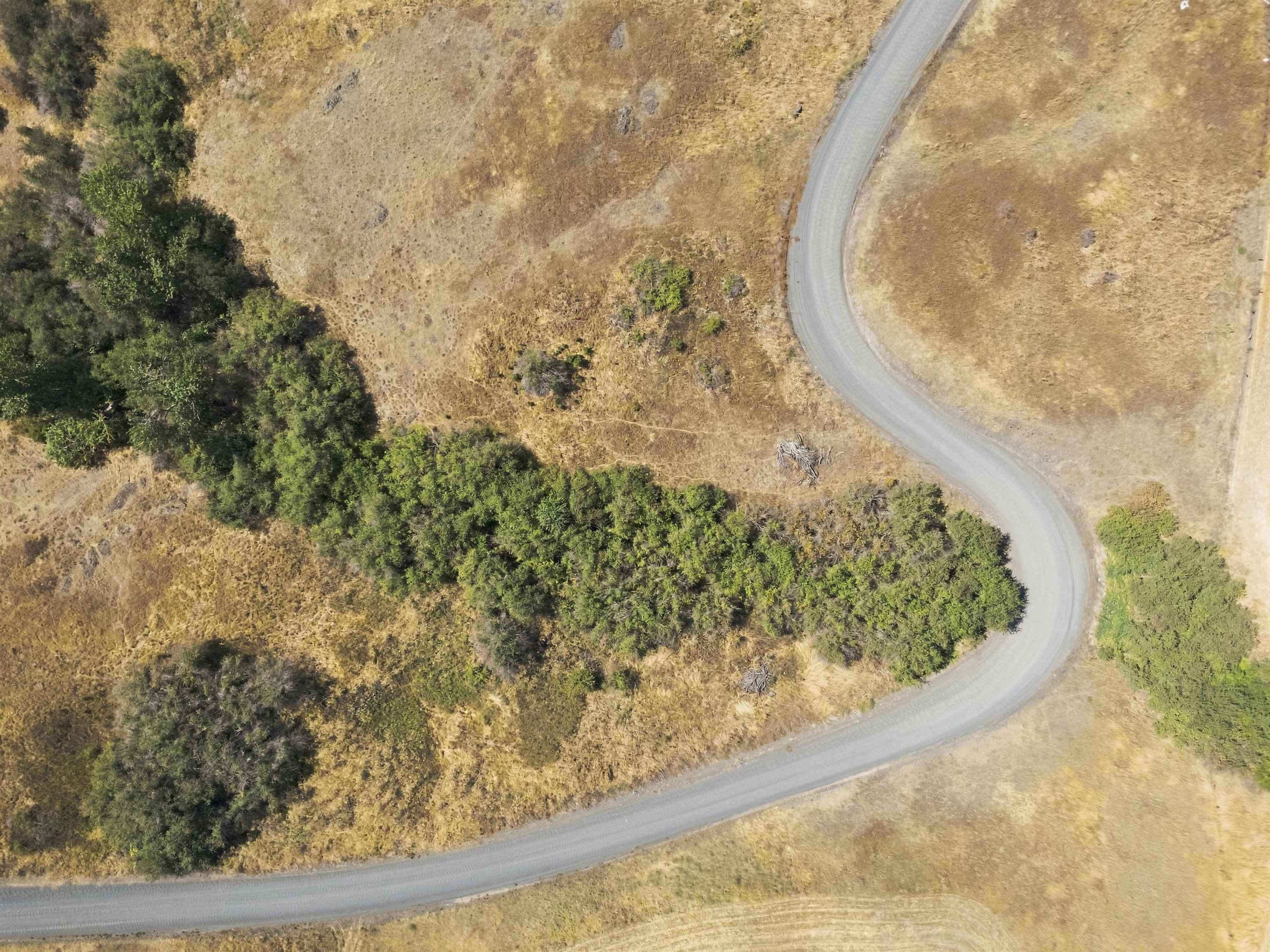 8-acre Lot Red Tail Ridge Road Colfax, WA 99111 - Photo 20 of 22 Gallery Image 20