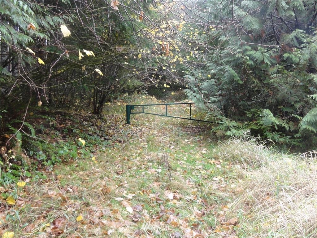 0 Carr Road Randle, WA 98377 - Photo 1 of 9 Gallery Image 1