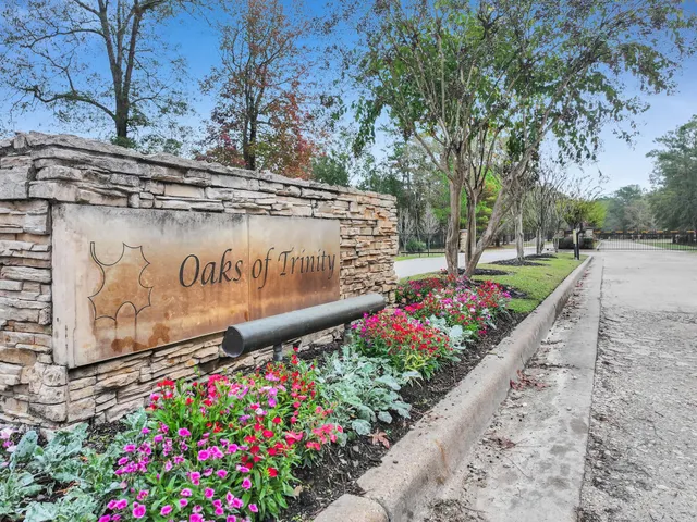 a view of a park with large trees