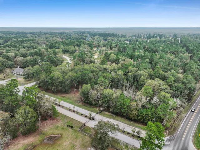 a view of a flower in a garden