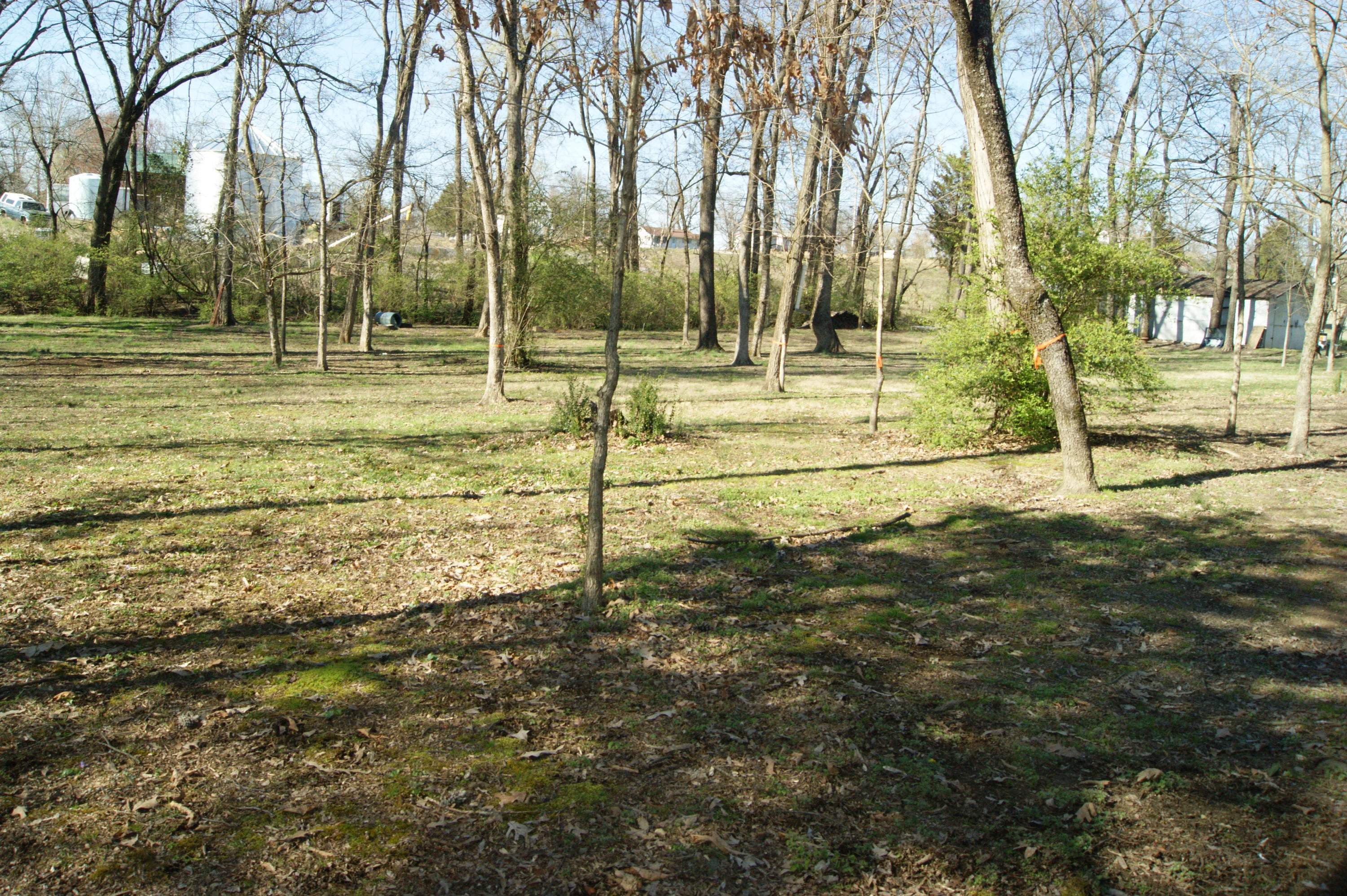 5600 Niles Ferry Road Greenback, TN 37742 - Photo 3 of 11 DSC07625