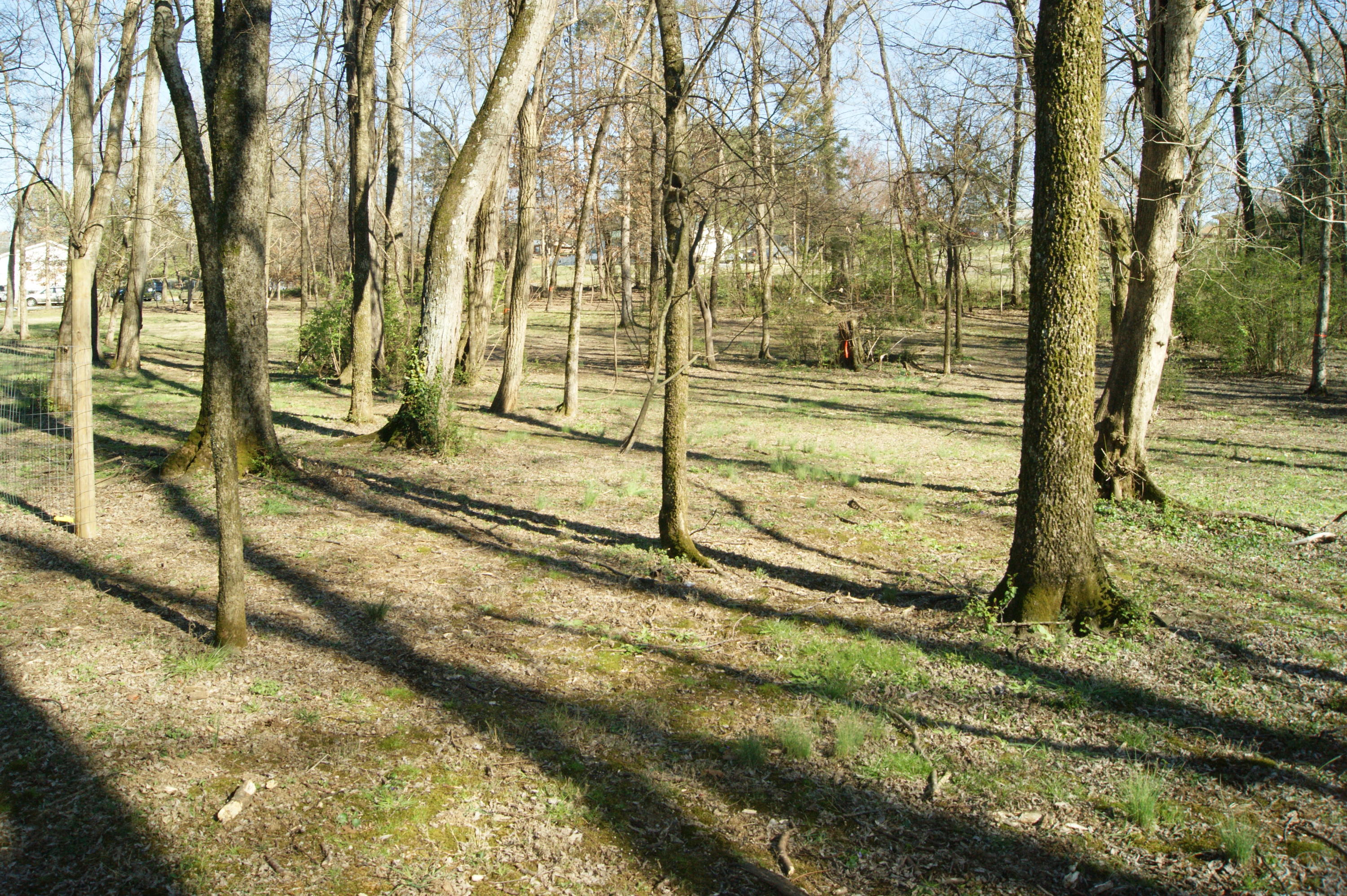 5600 Niles Ferry Road Greenback, TN 37742 - Photo 8 of 11 DSC07635