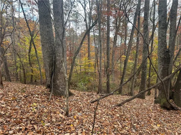 a backyard of a house with lots of trees