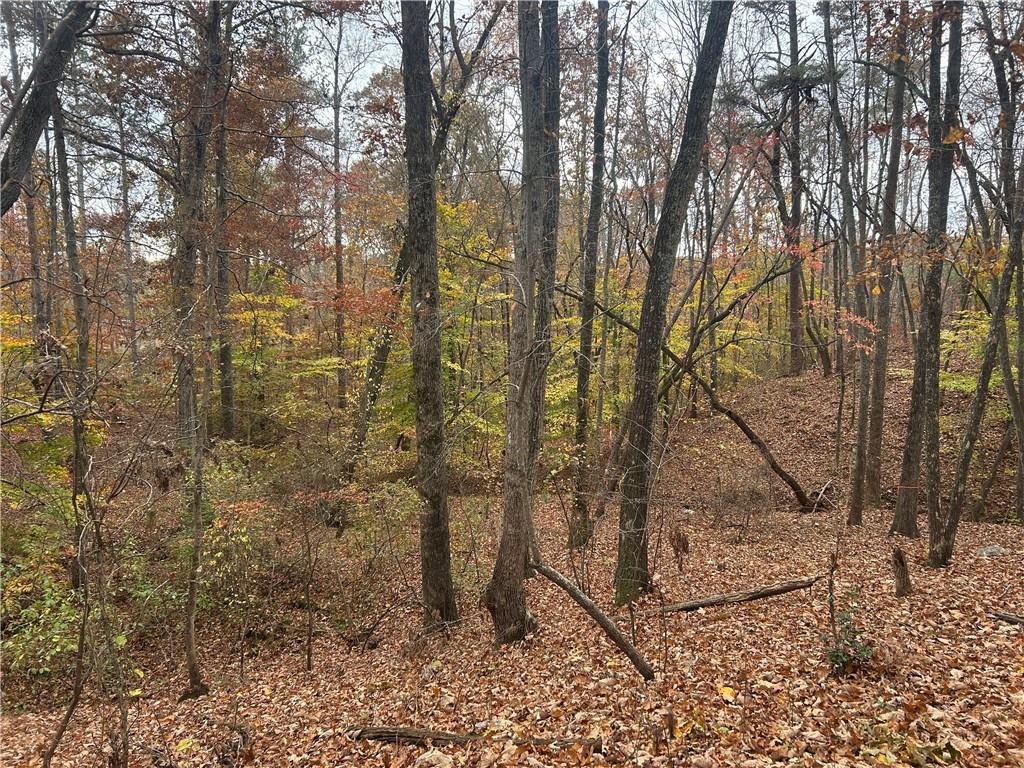 932 Sardis Road Canton, GA 30114 - Photo 2 of 11