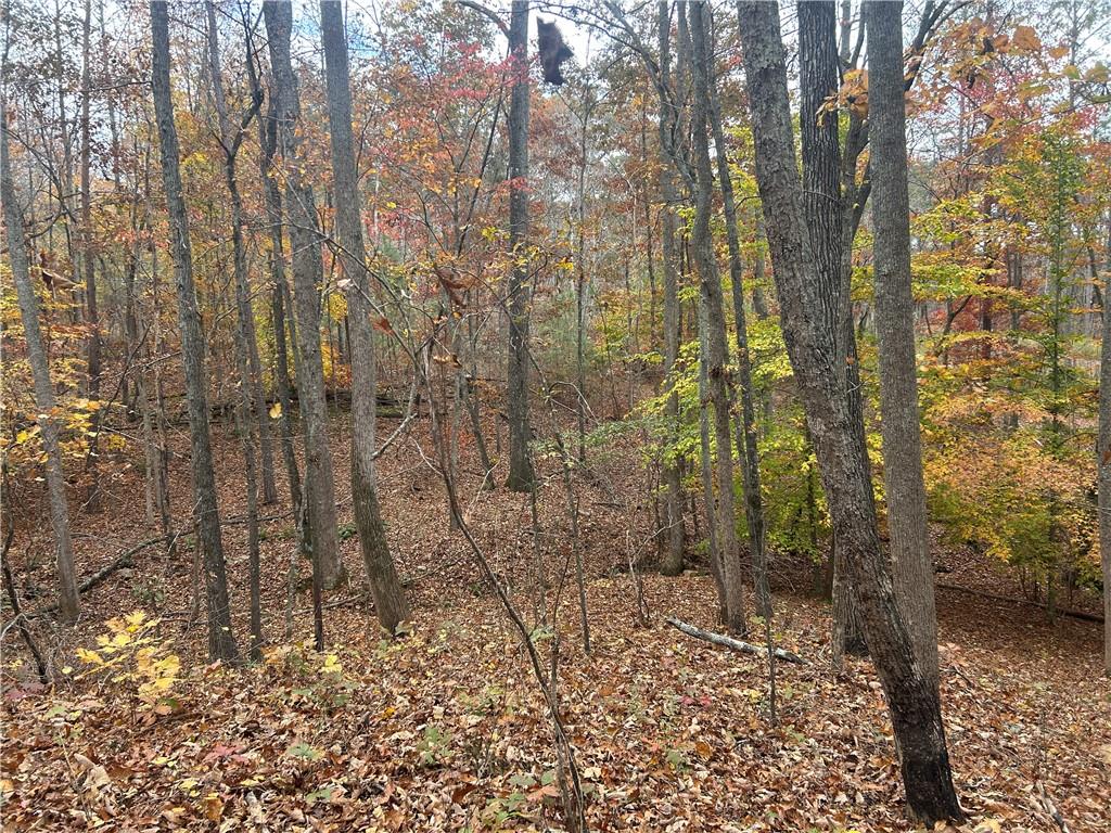 932 Sardis Road Canton, GA 30114 - Photo 3 of 11