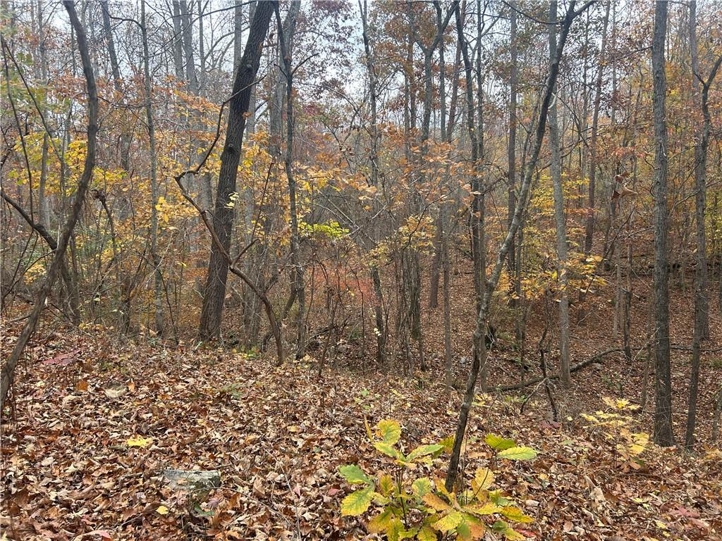 932 Sardis Road Canton, GA 30114 - Photo 4 of 11