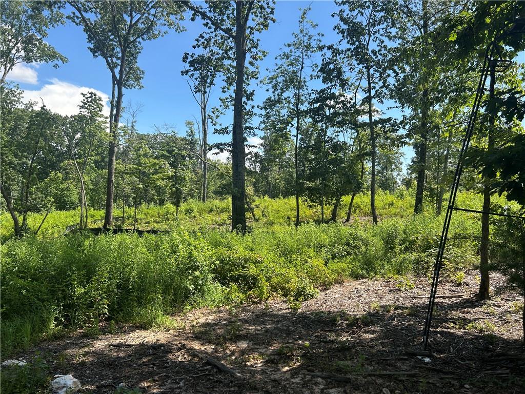 932 Sardis Road Canton, GA 30114 - Photo 6 of 11