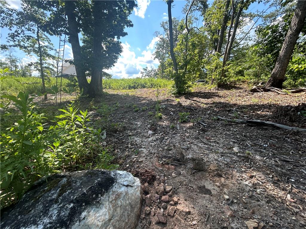 932 Sardis Road Canton, GA 30114 - Photo 8 of 11