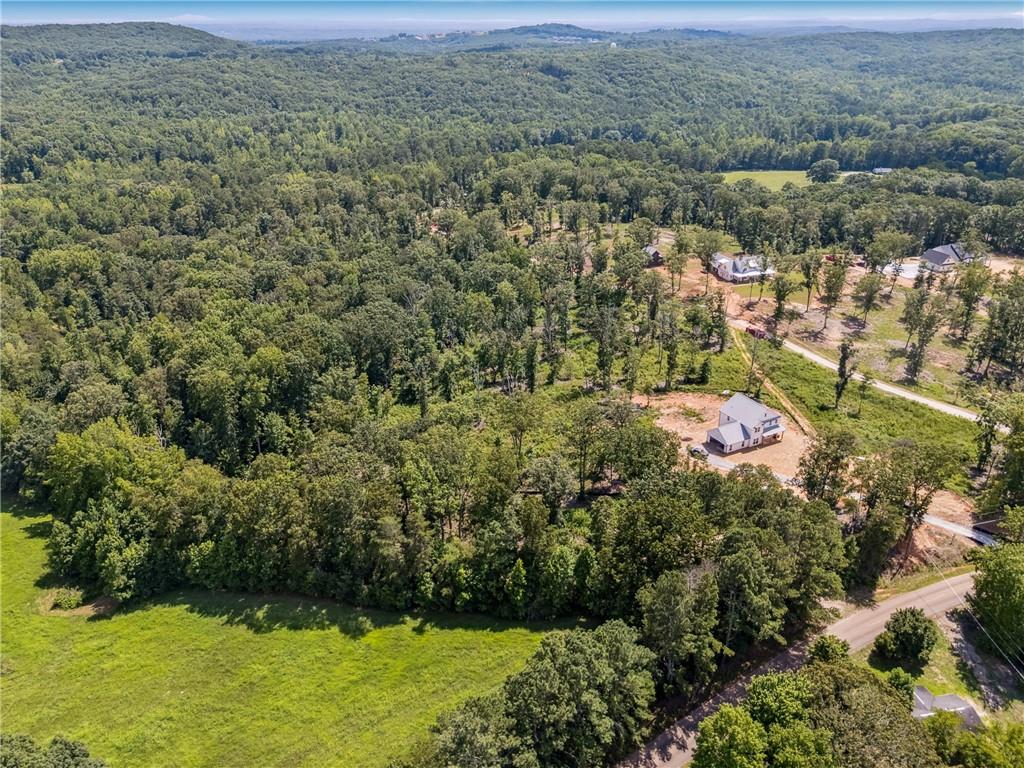 932 Sardis Road Canton, GA 30114 - Photo 10 of 11