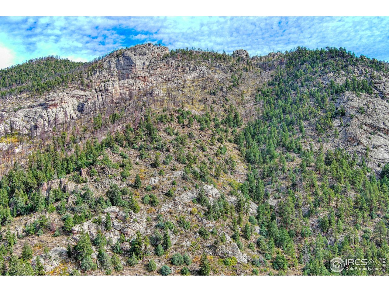 10697 County Road 43 Drake, CO 80515 - Photo 11 of 34 a view of a field with an outdoor space