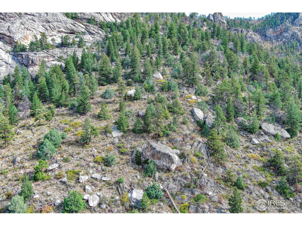 10697 County Road 43 Drake, CO 80515 - Photo 25 of 34 a view of a forest with a street